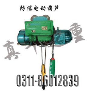 供应防爆钢丝绳电动葫芦